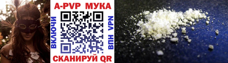 Alfa_PVP СК КРИС продажа наркотиков Кудрово
