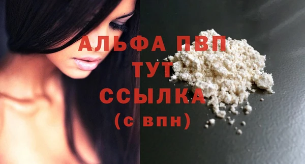 крисы Белокуриха