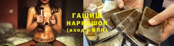 крисы Белокуриха