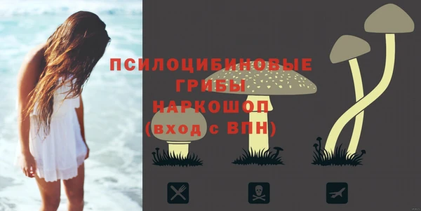 spice Беломорск