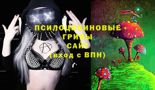 spice Беломорск