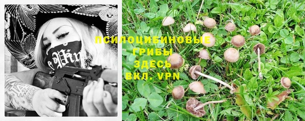 spice Беломорск