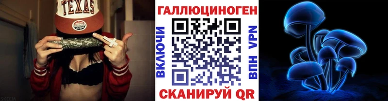 Галлюциногенные грибы Psilocybe  Кудрово 